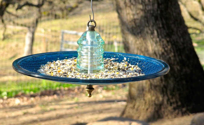 Bird Feeders