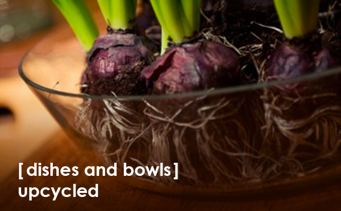 Dishes and Bowls