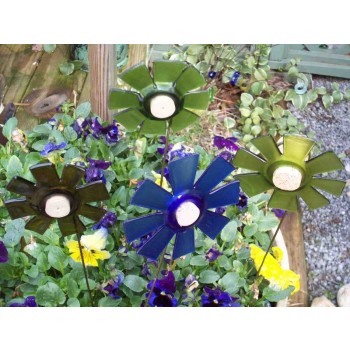Bottle Blooms