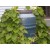 Plastic Barrel Netting