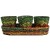 Wrapper Planters with Tray