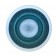 Ceiling Mounted Insulator Light - Blue