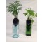 Wine Bottle Planter