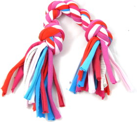 dog toy