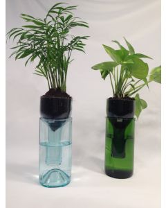 Wine Bottle Planter